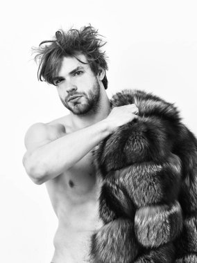 Zenginlik ve lüks konsepti. Bekarlığa veda zengin sevgilisi. Çıplak vücut üzerinde çekici bir poz kürk manto adam. Lüks yaşam tarzı ve refah. Lüks statü sembolü. Seksi uykulu maço tousled saç beyaz izole