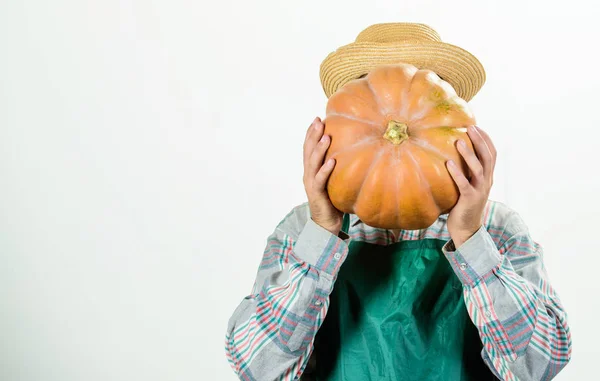 Agriculture concept. Farmer guy carry big pumpkin. Locally grown foods. Local farm. Farmer lifestyle professional occupation. Farming and agriculture. Farmer wear apron hold pumpkin white background — Stock Photo, Image