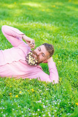 Flört kavramı. Papatyalar sakal içinde buket adamla bıyık katlanmış. Mutlu yüz sakallı doğa keyfini çıkarın. Daisy çiçeklerle sakalı sakallı adam çayır üzerinde yatıyordu, yandan yalın, arka plan çimen