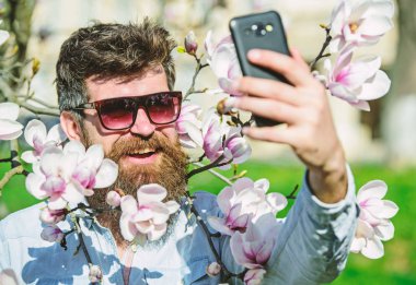 Vlogging kavramı. Sakal ve bıyık giyer güneş gözlüğü güneşli, Manolya çiçek arka plan üzerinde olan adam. Hipster içinde şık güneş gözlüğü, mutlu selfie fotoğraf, akış Smartphone'da video çekme