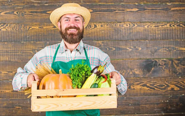 Mann fröhlich bärtigen Bauern tragen Schürze präsentiert Gemüsebox hölzernen Hintergrund. Bauer Hipster-Strohhut liefert frisches Gemüse. Lieferservice für frisches Gemüse. Box mit frischem Bio-Gemüse — Stockfoto