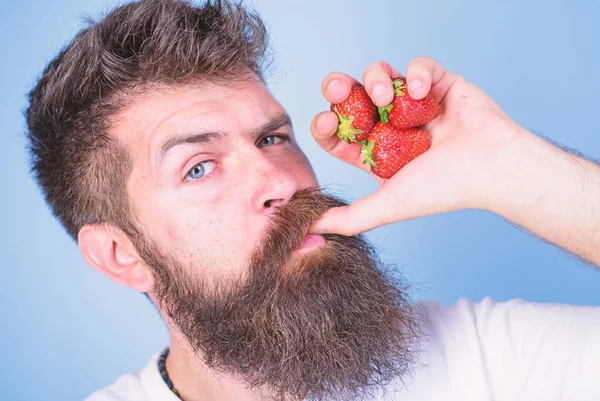 Fresh juice concept. Hipster bearded holds strawberries fist as juice bottle. Man strict face enjoy fresh drink strawberry juice. Man drinks strawberry juice suck thumb as drink straw blue background