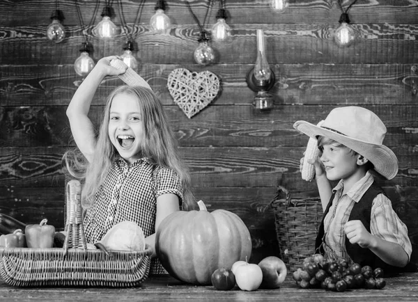 Ragazzo ragazza bambini celebrare festa del raccolto in stile rustico. Vacanze scolastiche. Idea del festival autunnale della scuola elementare. Festeggia la festa del raccolto. Bambini giocare pannocchie verdure fondo di legno — Foto Stock