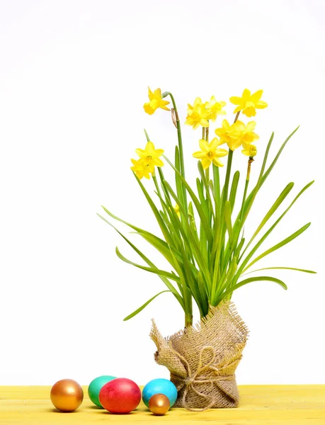 Spring yellow narcissus, colorful easter eggs isolated on white — Stock Photo, Image