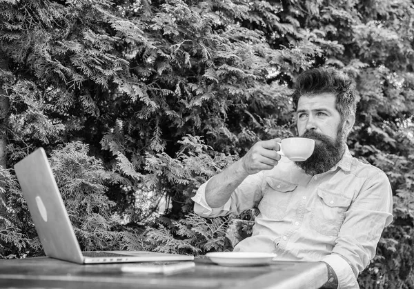 Pleasant moment. Take moment to enjoy life. Man bearded hipster make pause for drink coffee and relax while sit with laptop. Guy drinks coffee relaxing terrace branches background. Aroma cappuccino