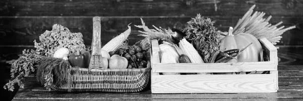Fall harvest concept. Vegetables from garden or farm on wooden background. Autumn harvest organic crops vegetables. Homegrown vegetables. Fresh organic vegetables in wicker basket and wooden box