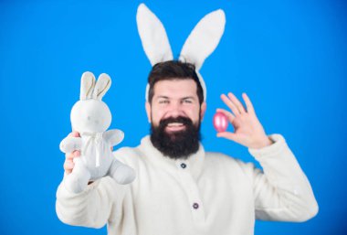 Üretken olmak. Paskalya tavşanı teslim yumurta renkli. Bahar kutlama tatil zamanı. Hippi uzun tavşan kulaklı tavşan döşeme yumurta tutarak. Sakallı adam bunny oyuncak ve Paskalya yortusu yumurta