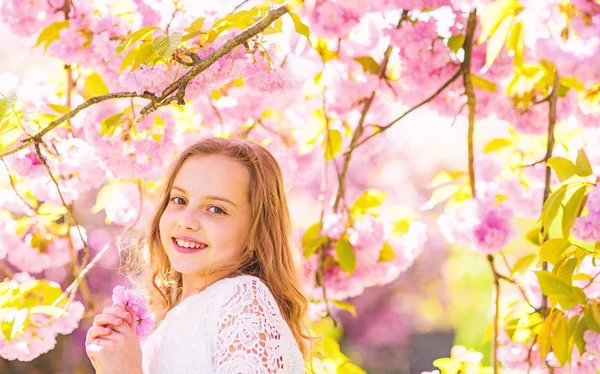 Aranyos gyermek élvezze Sakura illat a tavasz. Lány a mosolygó arc áll közel sakura virágokat, defocused. Lány hosszú haj kültéri, cherry blossom, a háttérben. Édes gyermekkor fogalma — Stock Fotó