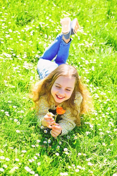 背景に草地の草の上に横たわる少女。子供では、春の晴れた日、花と草原で横になってお楽しみください。季節性アレルギーの概念。笑顔の女の子が赤いチューリップの花を保持して、香りをお楽しみください。 — ストック写真