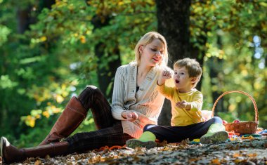 Bahar ruh. Mutlu aile günü. Güneşli havalarda. Sağlıklı gıda. Anne küçük çocuğunu seviyorum. Aile pikniği. Anneler günü. Mutlu anne oğluyla sonbahar ormanda sakin ol. Piknik rahatla. Piknik üzerinde boş zaman
