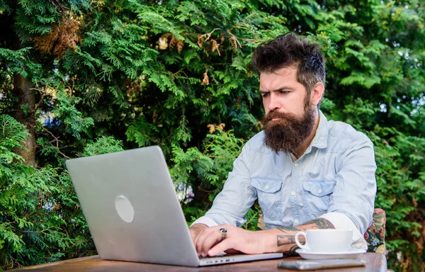Energy drink for brain. Bearded man drinking coffee and browsing the Web in coffee shop. Hipster enjoying coffee and free wifi in outdoor cafe. Cyber cafe providing Internet access and good coffee — Stock Photo, Image