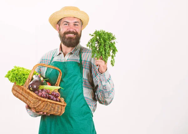 Muž vousatý prezentující zelenina bílé pozadí, samostatný. Farmář slaměný klobouk drží petržel a koš zeleniny. Čerstvá biozelenina proutěný koš. Bokovky zahradník nosí zástěru carry zelenina — Stock fotografie