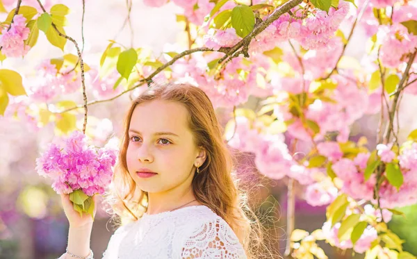 デフォーカスの花と桜の下で夢のような顔立ち騎乗の枝します。優しさの概念。背景に長い髪の屋外、桜の花を持つ少女。かわいい子が春の日に自然を楽しむ — ストック写真