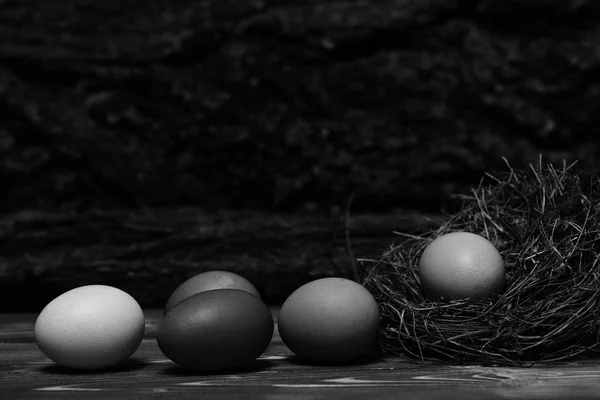 Ouă colorate în cuib. Happy Easter concept — Fotografie, imagine de stoc