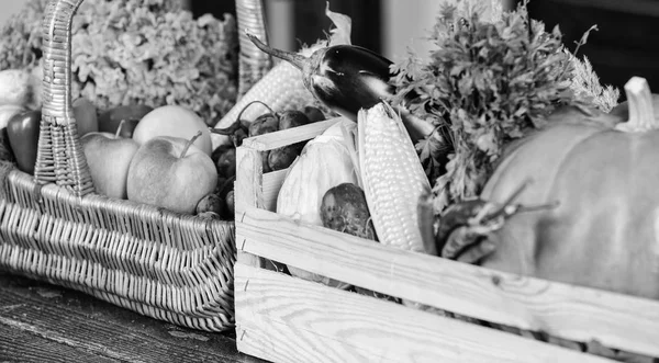 Fall harvest concept. Vegetables from garden or farm close up. Autumn harvest organic crops pumpkin corn vegetables. Homegrown vegetables. Fresh organic vegetables in wicker basket and wooden box