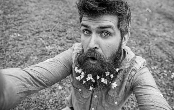 Naturalne piękno pojęcie. Hipster na zaskoczony twarz siedzi na trawie, rozmyte. Facet z kwiatami Ziarnopłon wiosenny w brodę biorąc selfie zdjęcie. Człowiek z brodą cieszy się tło wiosna zielony łąka — Zdjęcie stockowe