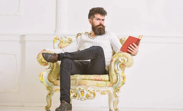 Hombre con barba y bigote se sienta en el sillón y la lectura, fondo blanco de la pared. Conocedor del concepto de literatura. Macho pasa el ocio con el libro. Conocedor, en la cara seria disfrutar de la literatura —  Fotos de Stock