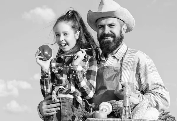 Solo cosecha orgánica y fresca. Hombre barbudo granjero rústico con niño. Cosecha casera de la familia del granjero. Padre e hija sostienen verduras de cosecha canasta. Jardinería y cosecha. Concepto de granja familiar — Foto de Stock