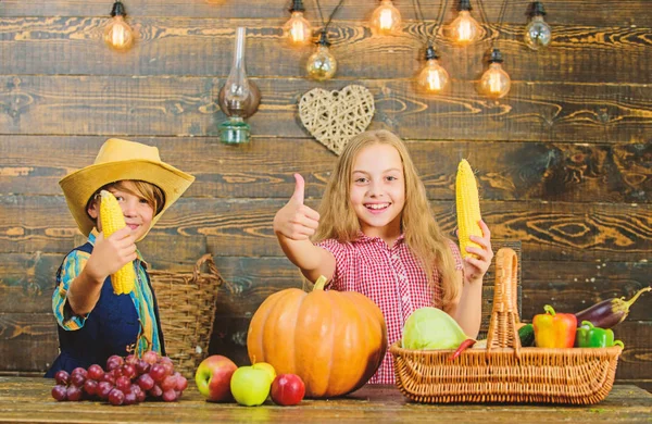 Elementary school fall festival idea. Celebrate harvest festival. Children play corncobs vegetables wooden background. Kids girl boy celebrate harvest festival rustic style. School festival holiday