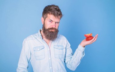 Sakallı adam katı yüz organik davranır sunmaktadır. Sakallı hippi çilek ve elma avuç içinde tutar. Muamele etmek var. Adam çilek denemek teklifler ve elma meyve mavi arka plan davranır