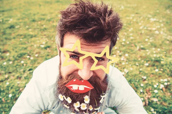 Photosession kavramı. Hipster neşeli yüzündeki sakallı yıldız ile poz gözlük ve dudak şeklinde. Adam güzel sakal daisy çiçeklerle benziyor. Sakal ve bıyık, yeşil renkli olan adam