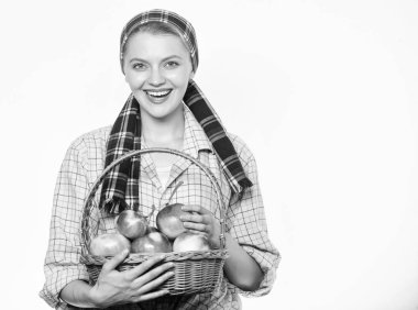 Kadın bahçıvan rustik tarzı sepet beyaz arka plan üzerinde elma hasat ile tutun. Zaman kavramı hasat. Kadın neşeli doğal meyve sepeti taşımak. Bayan çiftçi ya da bahçıvan onu hasat gurur