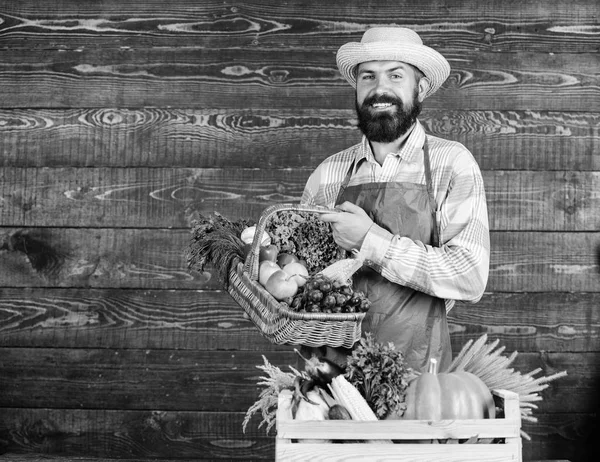 Verduras orgánicas frescas en canasta de mimbre y caja de madera. Hombre alegre granjero barbudo cerca de verduras fondo de madera. Sombrero de paja granjero presentando verduras frescas. Agricultor con verduras de cosecha propia —  Fotos de Stock