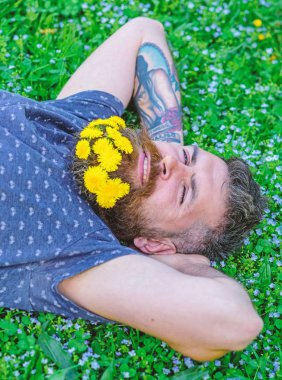 Sakal karahindiba çiçeklerle sakallı adam çayır, çimen arka plan üzerinde yatıyordu. Tazelik kavramı. Sakal ve bıyık yüz gülümseyen üzerinde olan adam. Hipster sakal rahatlatıcı dandelions buket