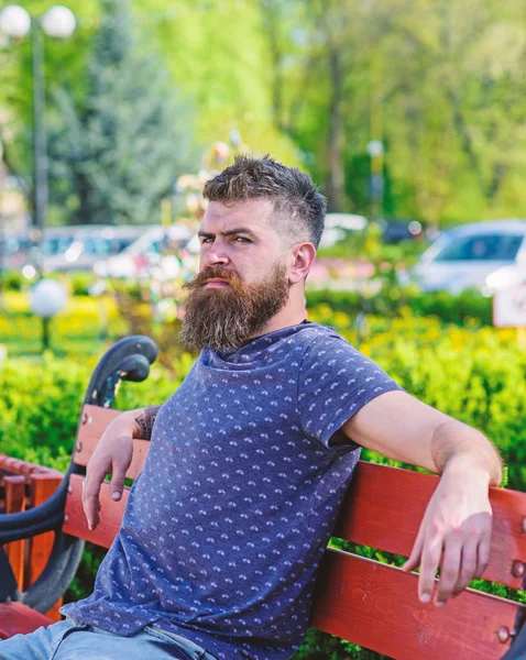 Человек с бородой и усами на строгом лице сидит на скамейке в парке. Отдых и отдых концепции. Хипстеры наслаждаются солнечным днем в парке. Бородатый мужчина со свежей стрижкой расслабляющий, городской фон — стоковое фото