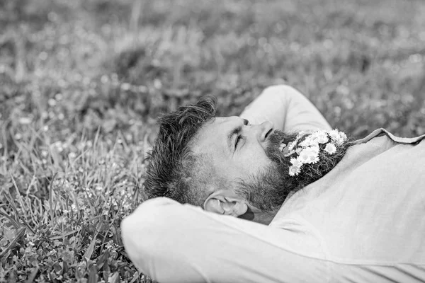 Hombre barbudo con flores de margarita en barba yacía en el prado, fondo de hierba. Hipster con ramo de margaritas en barba relajante. Hombre con barba en la cara sonriente disfrutar de la naturaleza. Unirse con el concepto de naturaleza —  Fotos de Stock