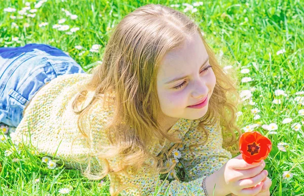 子供は、草原に横たわっている間チューリップの香りをお楽しみください。アレルギーの概念。草地、草背景に横になっている長い髪を持つ少女。幸せそうな顔の女の子は、晴れた春の日の赤いチューリップの花を保持しています。 — ストック写真