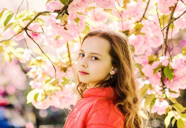 Tenderness concept. Cute child enjoy nature on spring day. Girl on dreamy face standing in front of sakura flowers, defocused. Girl with long hair outdoor, cherry blossom on background — Stock Photo, Image