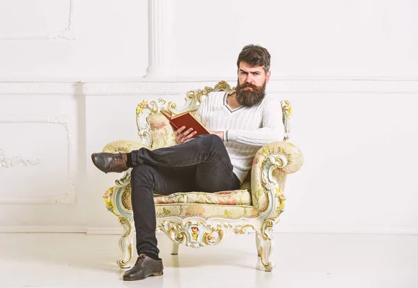 Man with beard and mustache sits on armchair and reading book, white wall background. Macho smart spends leisure with book. Scientist, professor on serious face explores literature. Knowledge concept — Stock Photo, Image