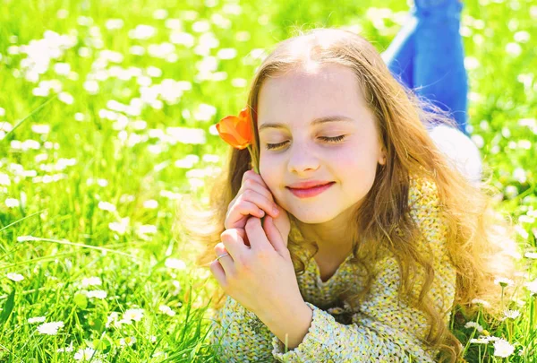 背景に草地の草の上に横たわる少女。夢のような顔の女の子が赤いチューリップの花を保持して、香りをお楽しみください。子供では、春の晴れた日、花と草原で横になってお楽しみください。季節性アレルギーの概念 — ストック写真