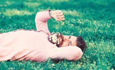 Güler yüz üzerinde sakallı adam karahindiba kokluyor. Maço sakal rahatlatıcı papatya ile. Daisy çiçeklerle sakalı sakallı adam grassplot üzerinde yatıyordu, arka plan çimen. Barış ve huzur kavramı