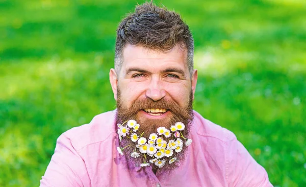 행복 한 얼굴에 수염을 가진 남자 ecologic 환경에서 생활을 즐길 수 있습니다. 데이지와 함께 hipster 행복 보이는. 데이지 꽃 수염, 수염된 남자 잔디 defocused 배경. 에코 친화적인 라이프 스타일 개념 — 스톡 사진