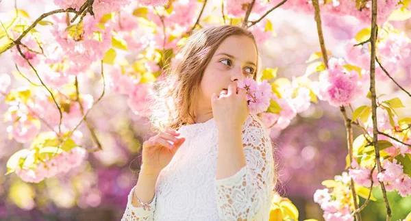 Menina no rosto sorridente em pé perto de flores sakura, desfocado. Menina com cabelos longos ao ar livre, flor de cereja no fundo. A criança bonita gosta do aroma de sakura no dia de primavera. Conceito de perfume e fragrância — Fotografia de Stock