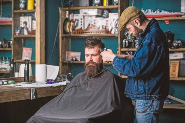 Clipper kırpma saçlı sakallı istemci Tapınağı üzerinde berber. Saç kesme makinesi çalışmalarına hipster, berber arka plan için saç modeli ile berber. Hipster yaşam tarzı kavramı. Hipster istemci Başlarken saç kesimi