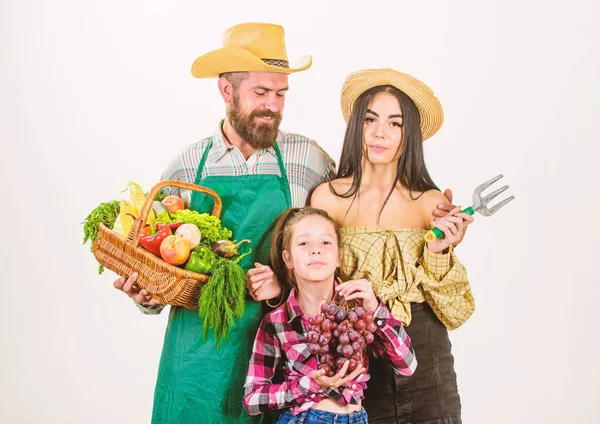 Harvest festival concept. Parents and daughter farmers celebrate harvest holiday. Family rustic style farmers proud of fall harvest. Family farmers gardeners basket harvest isolated white background — Stock Photo, Image