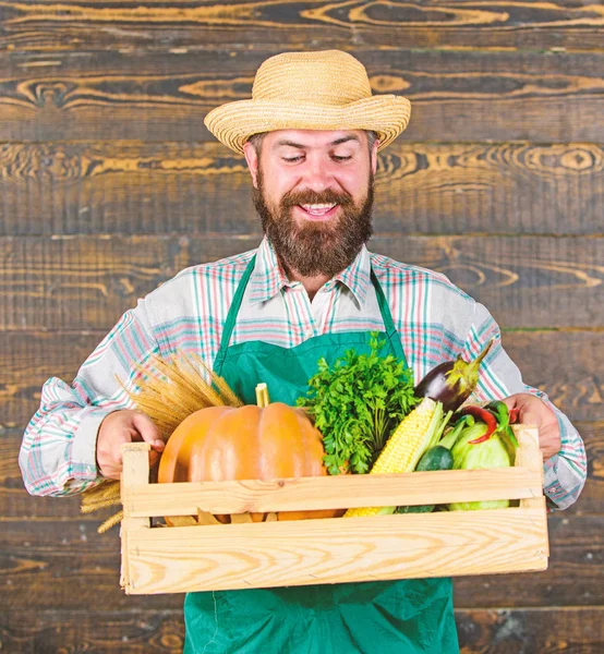 Fresh organic vegetables box. Man cheerful bearded farmer wear apron presenting vegetables box wooden background. Farmer hipster straw hat deliver fresh vegetables. Fresh vegetables delivery service