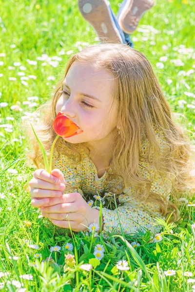 子は、草原に横たわっている間チューリップの香りをお楽しみください、クローズ アップ。優しさの概念。草地、草背景に横になっている長い髪を持つ少女。幸せそうな顔の女の子は、晴れた春の日の赤いチューリップの花を保持しています。 — ストック写真