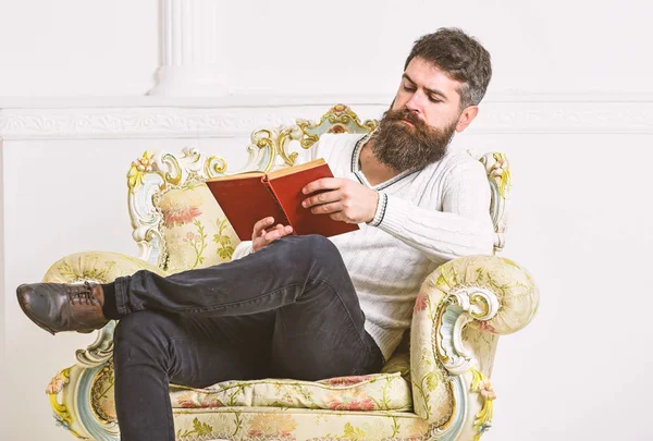 Sakal ve bıyık oturur koltuk ve kitap okumak, beyaz duvar arka plan üzerinde olan adam. Bilgi kavramı. Maço akıllı kitap ile boş zaman harcıyor. Bilim adamı, Profesör ciddi yüz edebiyat araştırıyor