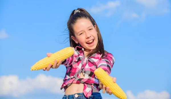 Chica alegre mantenga granos maduros. Cosecha y diversión. A los niños les encanta la comida. Maíz vegetariano y saludable producto orgánico. Concepto de nutrición vegetariana. Niña mantenga mazorca de maíz amarillo en el fondo del cielo — Foto de Stock