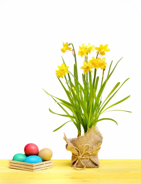 Narciso amarillo primaveral, huevos coloridos de Pascua aislados en blanco —  Fotos de Stock