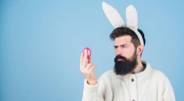 Paskalya tavşanı. Eğleniyorum. Sakallı ve bıyıklı komik tavşan pembe yumurta tutuyor. Sakallı adam aptal tavşan kulakları takar. Paskalya sembolü. Kıymetlim. Hipster şirin tavşan uzun kulaklar mavi arka plan
