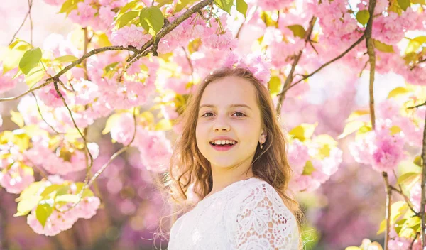 Dziewczyna na uśmiechnięta twarz stojący w pobliżu sakura kwiaty, rozmyte. Dziewczyna z długimi włosami odkryty, Wiśniowy kwiat, na tle. Koncepcja perfum i zapach. Słodkie dzieci cieszyć się aromatem sakura na dzień wiosny — Zdjęcie stockowe