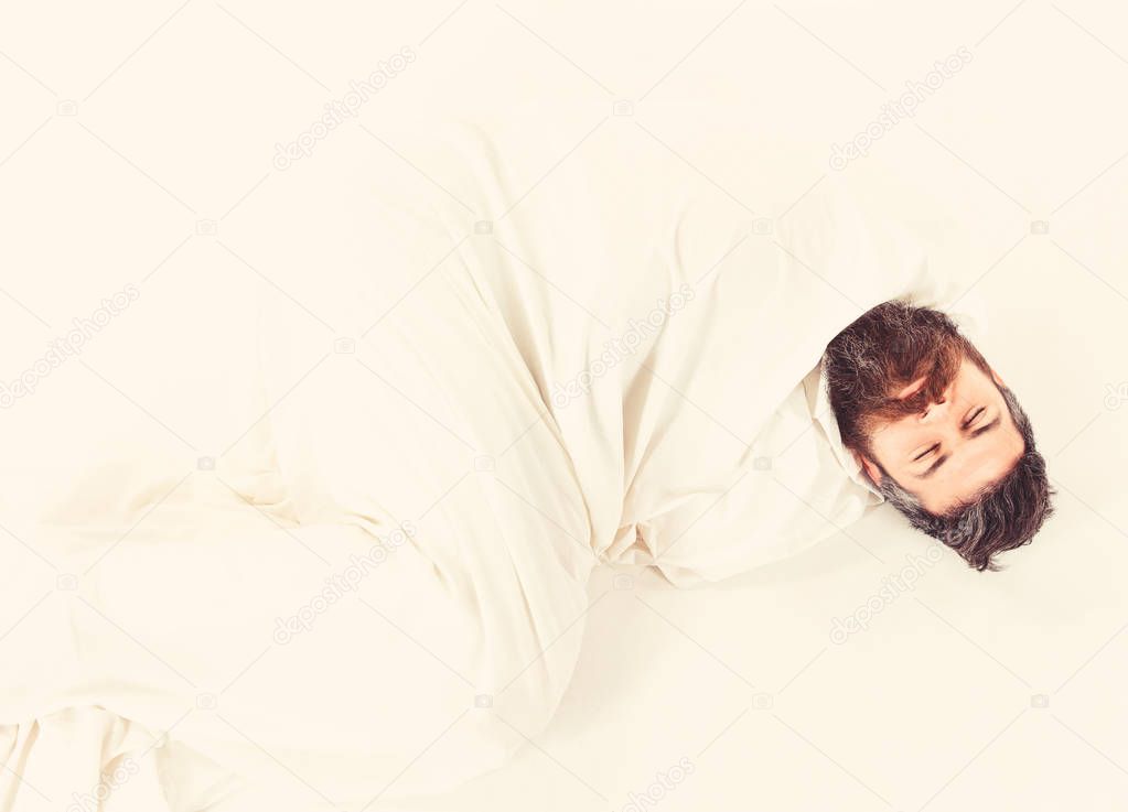 Hipster with beard fall asleep, wrapped in blanket like cocoon.