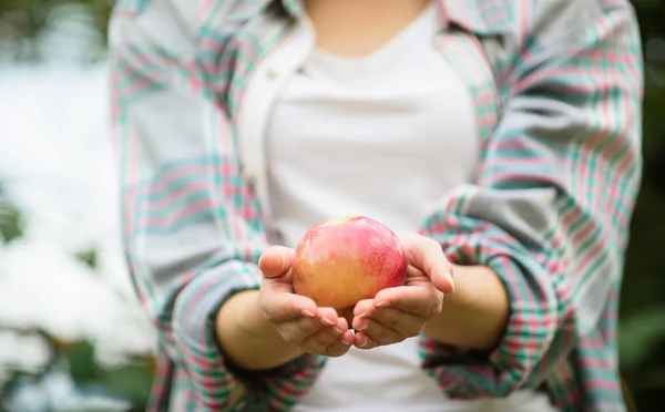 Produto natural orgânico. Menina recolher colheita de maçã no próprio jardim. Fazendeiro menina segurar maçã. Conceito de culturas locais. Estilo de vida saudável. Coma frutas todos os dias. Mulher segurar maçã verde jardim fundo — Fotografia de Stock