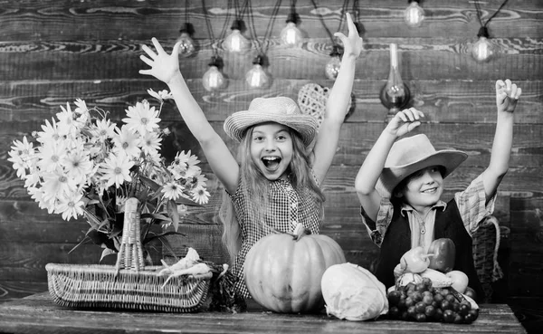 Bambino ragazza ragazzo indossare cappello stile contadino cowboy celebrare la festa del raccolto. Festa del raccolto autunnale. Festeggia le tradizioni autunnali. Idea del festival autunnale della scuola elementare. I bambini giocano la zucca di verdure — Foto Stock