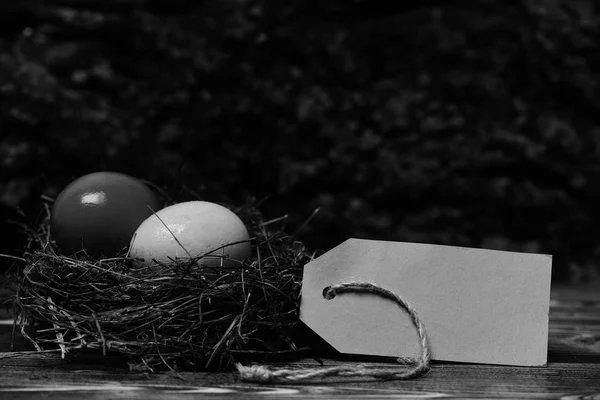 Ouă colorate în interiorul cuibului mic. Happy Easter concept — Fotografie, imagine de stoc